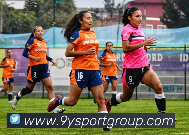 九游足球平台生态图